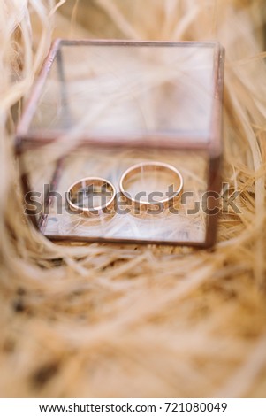 jewelry, engagement ceremony, traditions concept. in small glass box placed in the straw for safety there are two wedding rings made of golden in simple shape of minimalistic style