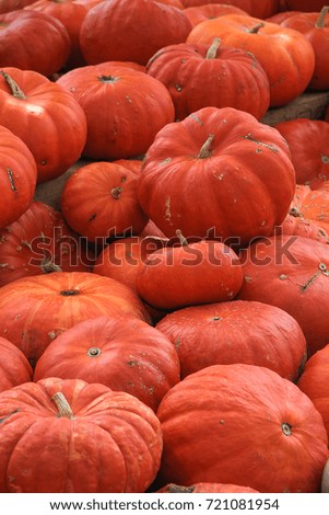 Many orange colored pumpkins. The picture was made on a farmer's market in Germany.