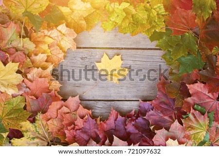 Yellow, green and red tree autumn leaves and berries frame composition on old wooden background. Great season texture with fall mood. Nature september and october background. Copy space, top view.