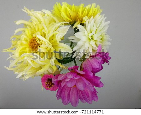 delicate bouquet of dahlias on white background