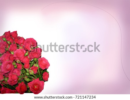 roses on a light background  and romantic
