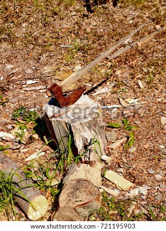 Old ax buried in old tree   Royalty-Free Stock Photo #721195903