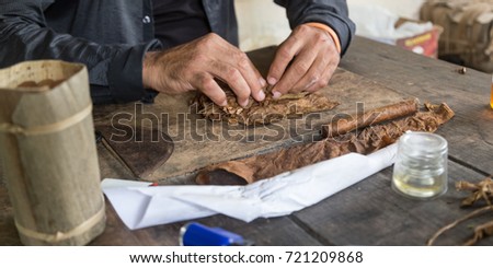 Cuban master showing how to hand roll a cigar