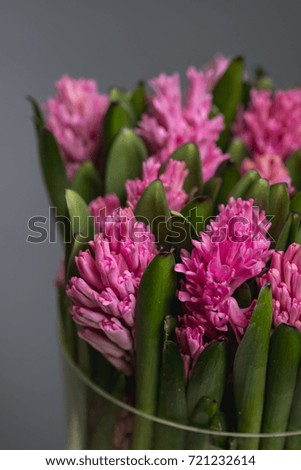 Background with spring flowers. Bouquet of hyacinths on grey dark background with text or design card area.