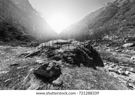 Morning mist over the stream in the Italian Alps in Piedmont. View of the mountain valley with river at sunrise. Black and white picture