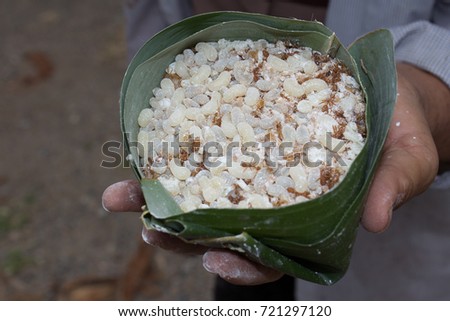Ant eggs in hand With light. Container made from banana leaf.