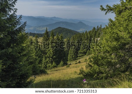 Forests under Velky Choc hill in north Slovakia in summer sunny day