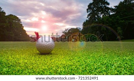 Golf ball on green and blurred golfer putting ball to hole in beautiful golf course on sunrise. Beauty of layout and fairway with green grass large trees. Golf course with beautiful light in sunset.