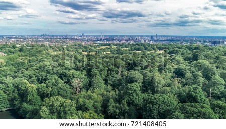 Aerial view of a forest with the skyline of the city of London