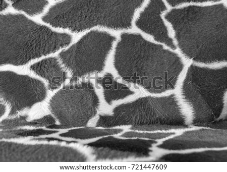 black and white Structural textured background
