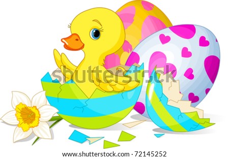 Easter duckling sitting in the broken Easter Egg.