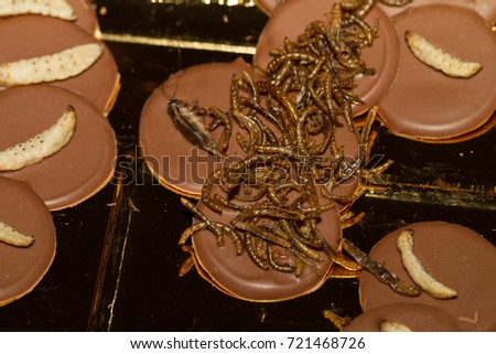 Crickets, worms and larvas served on chocolate
