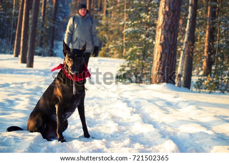 man with a dog in winter forest