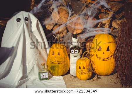 Home yard decorated for Halloween with scary jack-o-lantern pumpkins, broom, spider webs and bottle with poison, skeletons print, Halloween garden cozy decor  and ideas  