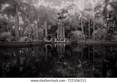 Infrared photo of  Slider and swimming pool in abandoned water park  ,Ho Thuy Tien Hue , Vietnam