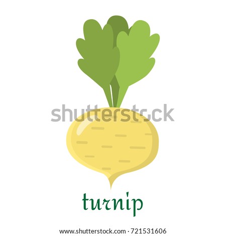 Turnip icon in flat style isolated on white background. /Turnip icon in flat style. Isolated object, logo. Vegetable from the farm. Organic food. Vector illustration. Royalty-Free Stock Photo #721531606
