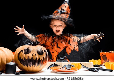 little evil witch with jack o lantern pumpkin and halloween decorations, isolated on black