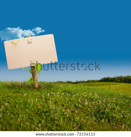 wooden sign on the left side of a green land with a blue sky, with one cloud, image is square