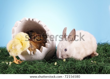 Animal easter concept!