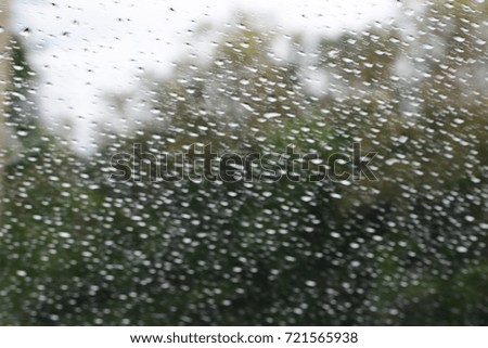 the blurred background of raining and the trees along the way
