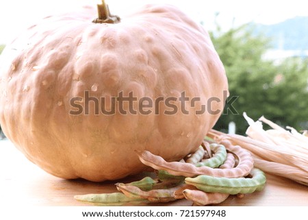 An old pumpkin