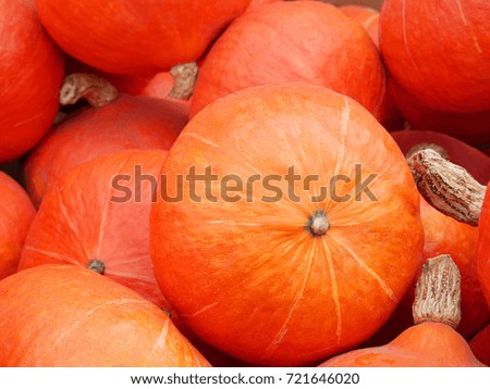 Pumpkin and squash
