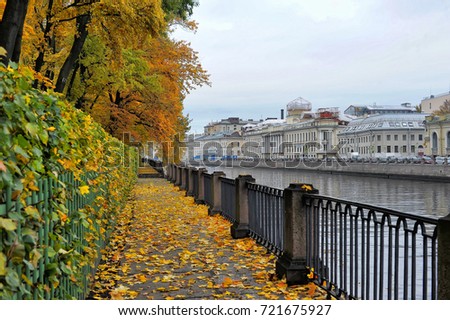 Branches of trees with autumn leaves hanging over the embankment of the Fontanka River, Summer Garden, St. Petersburg, Russia