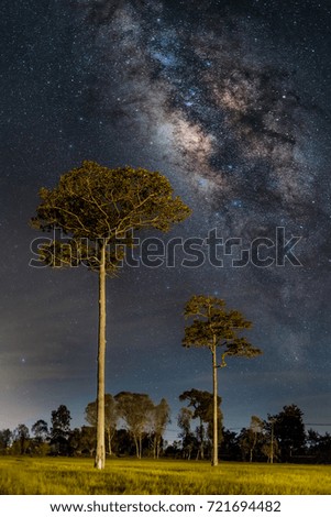 The Milky Way and  trees in Thailand