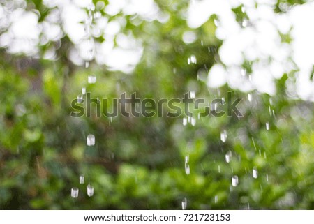 Rain by the rain season abstract background blurred