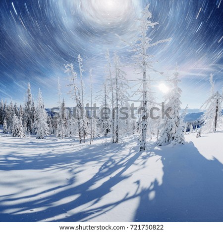 Magical winter landscape with snow covered tree. Vibrant night sky with stars and nebula and galaxy. Deep sky astrophoto. Fantastic milky way in the New Year's Eve. Courtesy of NASA. 