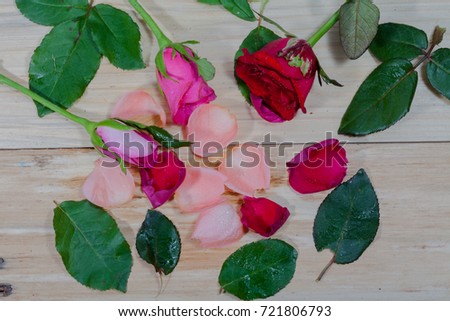 leaf of rose,pink roses and red rose flowers in the pinewood table