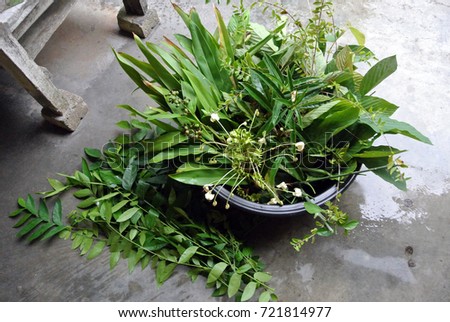 The process of preparing traditional Malay herbs using selected herbal trees & leaf.