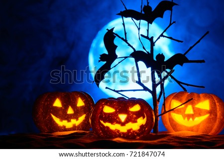 Three Halloween pumpkins and bats on a tree, the full moon in the fog