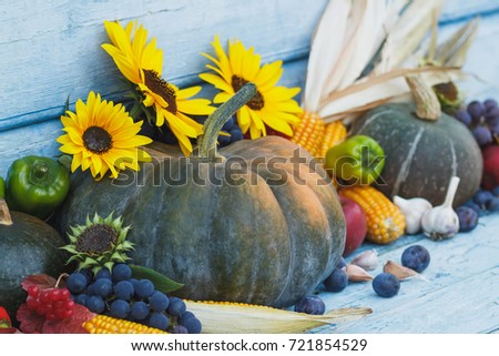 Pumpkin, sunflowers and different ripe vegetables, wooden background