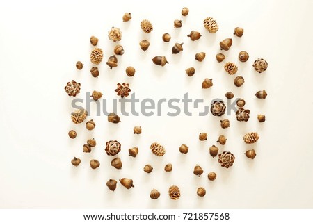 Autumn composition. Frame of  acorn, pine cones on white background. Flat lay, top view, copy space