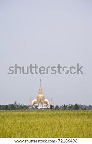 thai temple and cornfield Phrong Akat Temple Chachengsao In Thailand