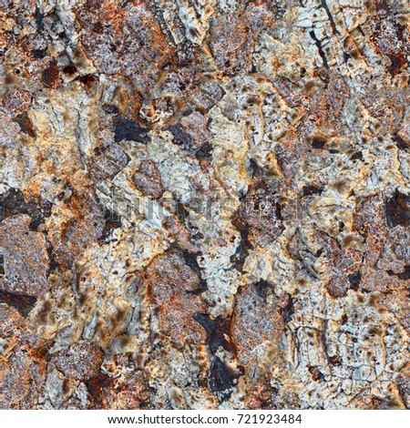 Seamless texture. Surface rocks of Khibiny Mountains. Close up shot