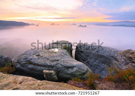 Autumn landscape. Morning view over sandstone cliff into deep misty valley. Sandstone peaks increased from foggy background, the fog is orange due to sunrise.