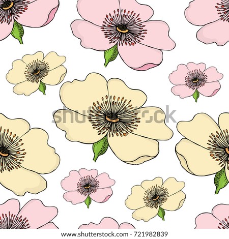 Seamless pattern of pink and yellow flowering of dog rose on white background. Rose hip vector illustration.