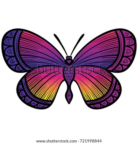 Bright decorative butterfly isolated on white (vector)