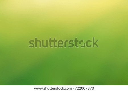 natural green blurred abstract background 