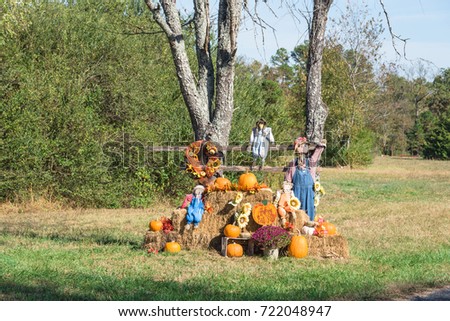 Scarecrow, yellow mum flowers, harvested orange pumpkins, squashes, gourd over hays in rural Arkansas, USA. Scarecrow guarding pumpkin from birds. Traditional Halloween, Thanksgiving, Fall decoration