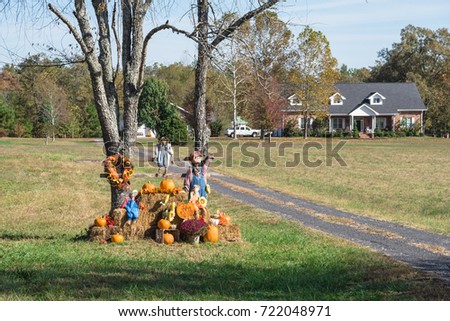 Scarecrow, yellow mum flowers, harvested orange pumpkins, squashes, gourd over hay at front yard entrance residential house in rural Arkansas, USA. Traditional Halloween, Thanksgiving, Fall decoration