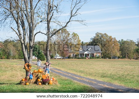 Scarecrow, yellow mum flowers, harvested orange pumpkins, squashes, gourd over hay at front yard entrance residential house in rural Arkansas, USA. Traditional Halloween, Thanksgiving, Fall decoration