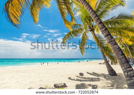 Tropical sunny beach with palms