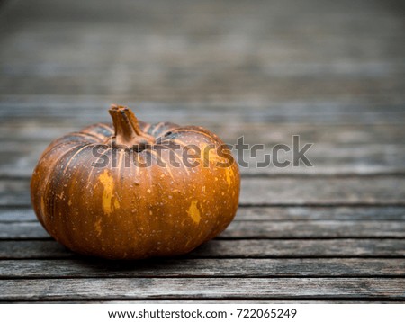 Side view of fresh pumpkin on wooden table , low key concept for Halloween party decoration