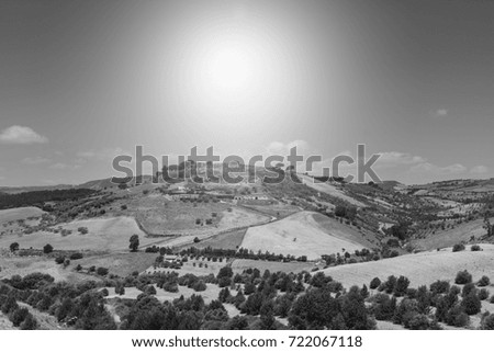 Sicilian landscape at sunrise, hills, fields, flowers, pasture and sunlight. Black and white picture