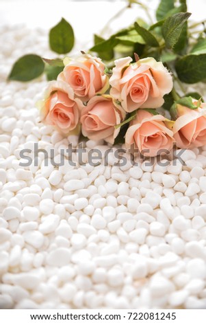 Lying on branch rose and pile of white stones background