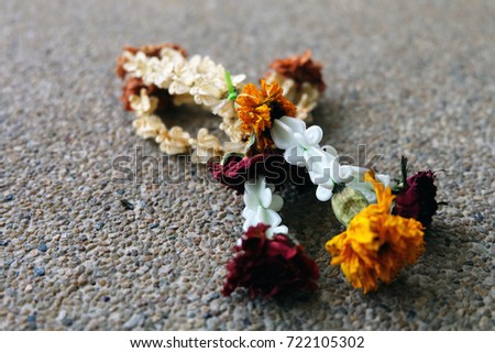 Dried Jasmine Garland, Thai traditional Dried Jasmine Garland Isolated on Ground Background Great For Any Use.