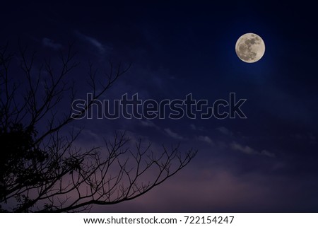 Silhouette black die tree with Full moon on dark purple blue sky and soft clouds at twilight time, Background for Halloween concept and copy space